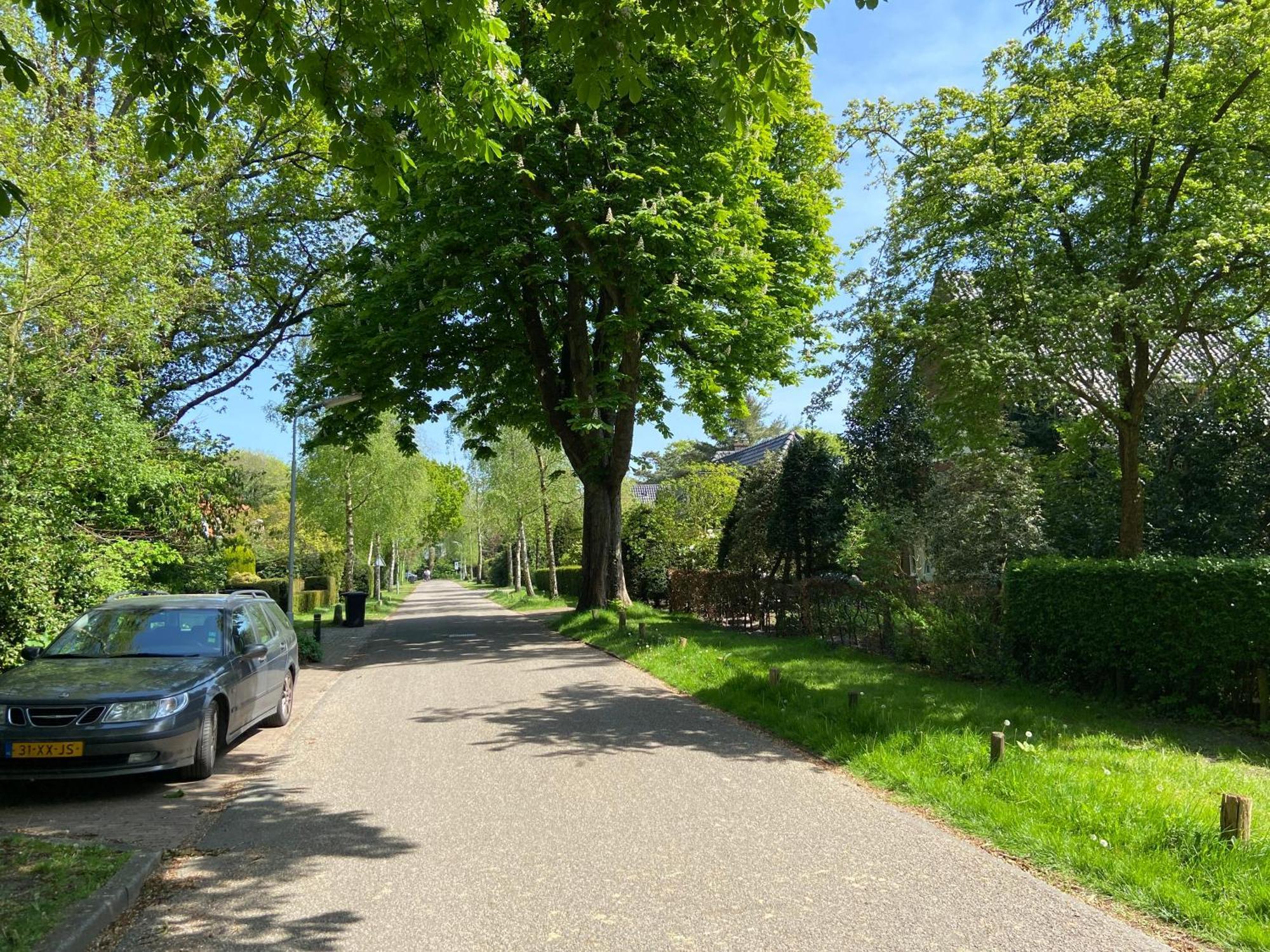 Studio Bergen Luaran gambar